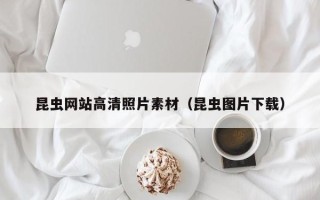 沅江昆虫网站高清照片素材（昆虫图片下载）